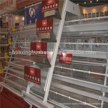 Basic poultry layer chicken cage system for sale